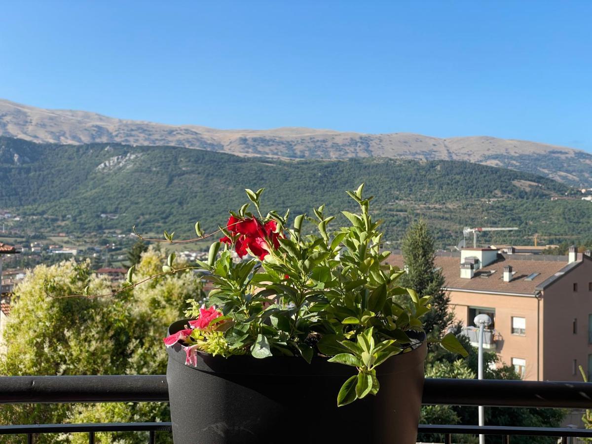 Casa Katiu' Due Camere Indipendenti In Appartamento Di 83 Mq LʼAquila Buitenkant foto